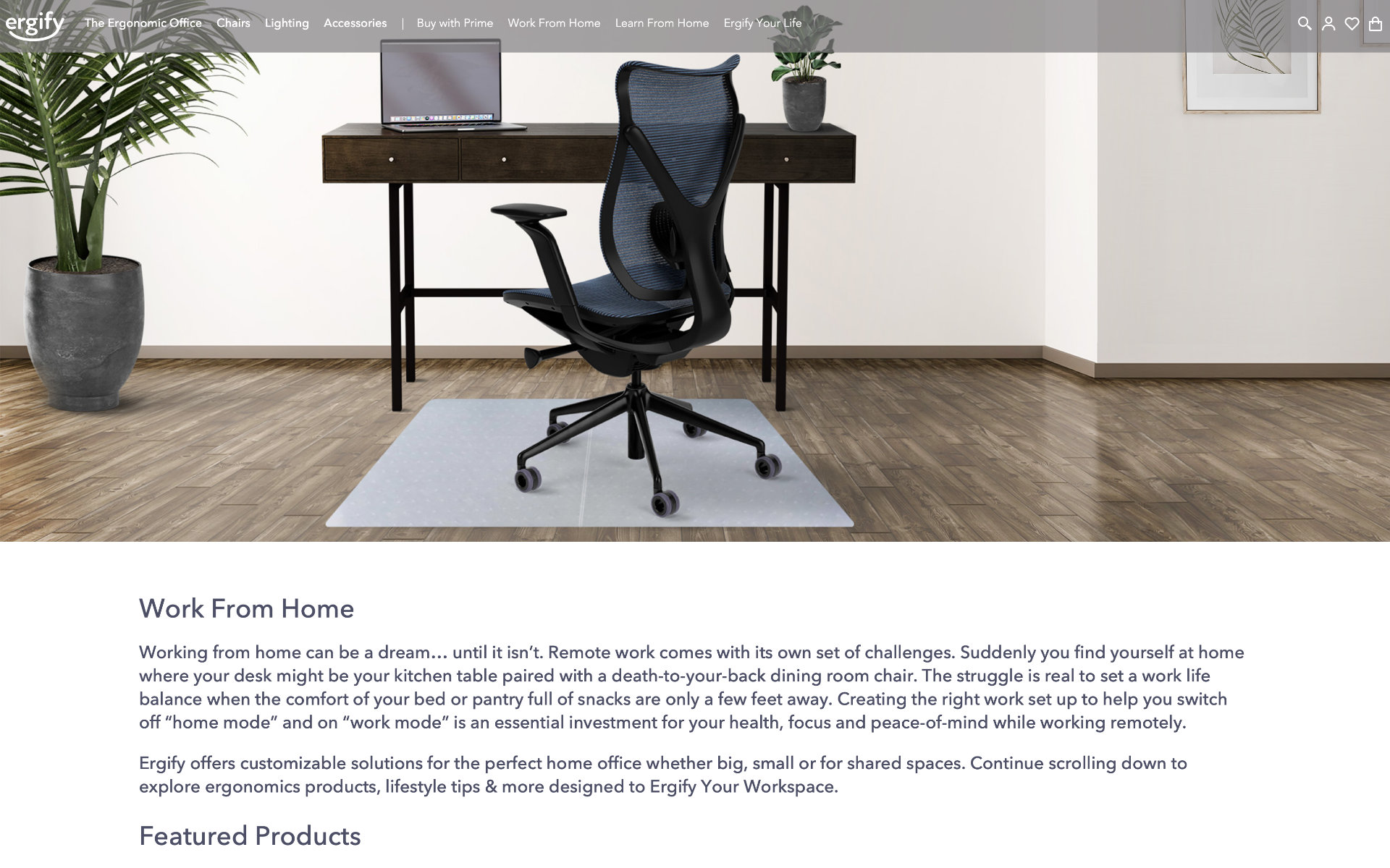 Ergify Work From Home